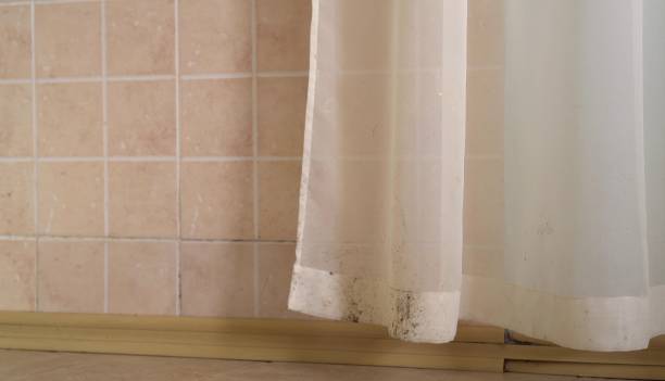 Best HVAC Mold Inspection and Cleaning  in Wyandotte, MI