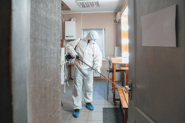 Best Mold Odor Removal Services  in Wyandotte, MI