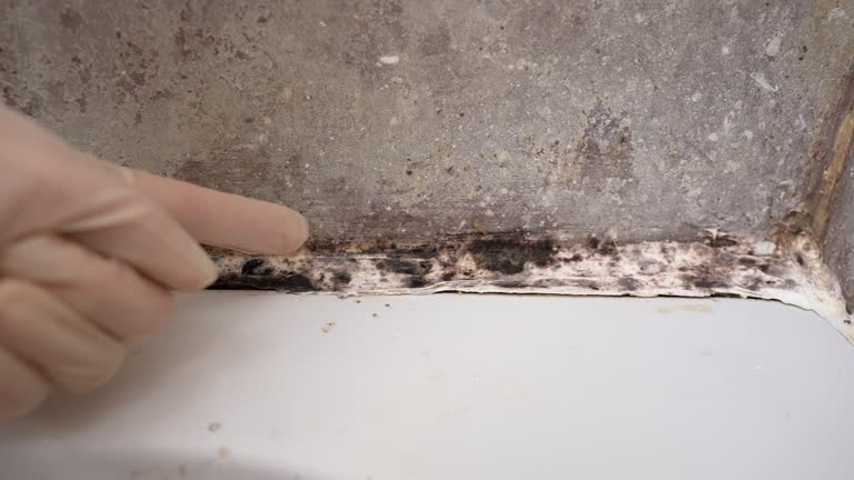 Best Indoor Air Quality Assessment  in Wyandotte, MI